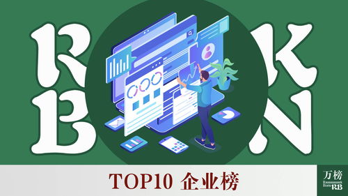 2021年中國人力資源服務行業(yè)TOP10企業(yè)榜 軟件外包服務領域洞察